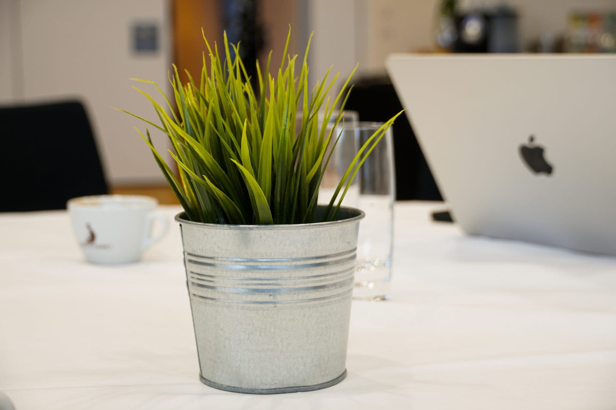 Ordinateur portable, tasse de café et petite plante sur une table de réunion